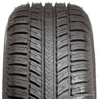 Зимние шины BFGoodrich Winter G 175/70R13 82T