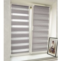 Рулонные шторы Delfa Сантайм День-Ночь Декор МКД DN-45020 (52x160, белый/серебристый)