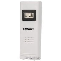 Термометр Rexant 70-0592