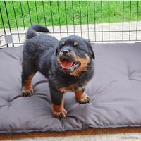 Манеж Ferplast Dog training 73300025