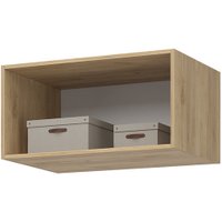 Шкаф распашной Стендмебель Лион АН-01 800 (графит серый/дуб крафт золото)