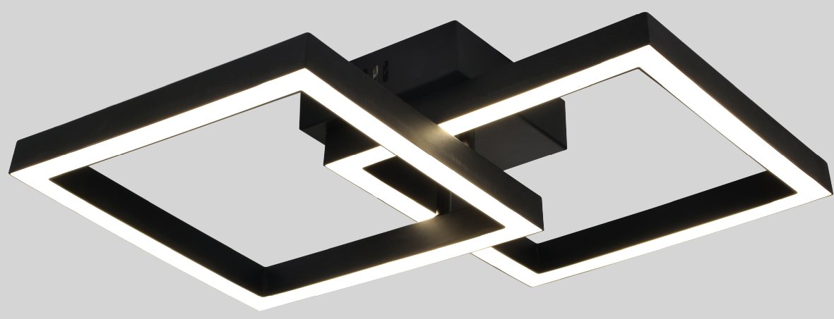 

Припотолочная люстра Escada 10258/2LED (черный)