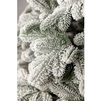 Ель GreenTerra Северия 1.8 м