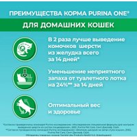 Сухой корм для кошек Purina ONE для домашних с индейкой и цельными злаками 1.5 кг в Бресте