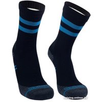 Носки DexShell Running Lite DS20610BLUM (39-42, голубые полоски)