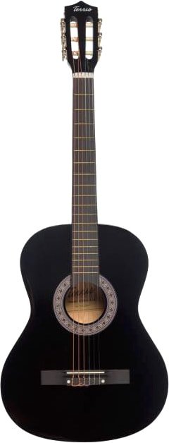 

Акустическая гитара Terris TC-3801A BK