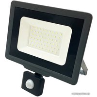 Уличный прожектор JAZZway PFL-C3 SENSOR 20w 6500K IP65