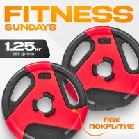 Набор дисков Sundays Fitness IR91041 2x1.25 кг