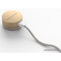 Беспроводная аудиосистема Bang & Olufsen Beosound Level (золотистый/светлый дуб)