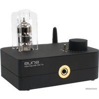 Настольный усилитель Aune T1s (черный)