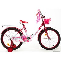 Детский велосипед Bibibike D20-2P