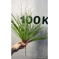 Искусственное растение Артфлора Осока Виктория 50 см 200005