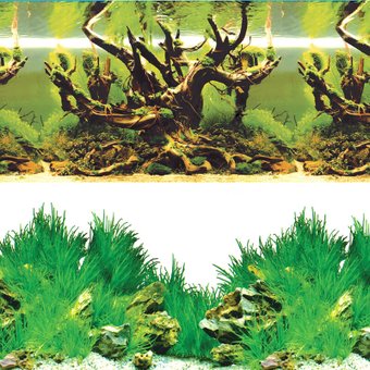 Фон Laguna Таинственный лес/Новое утро 9098/9030 74064085