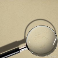 Картонная обложка для переплета ProMega Office А4 230 мкм 254601 (100 шт, кожа, зеленый)