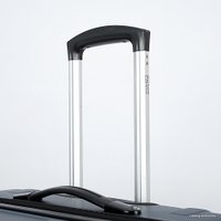 Чемодан-спиннер Francesco Molinary 336-161426/3-24 (серый)