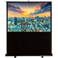 Проекционный экран CACTUS FloorCompactExpert 90x160 CS-PSFLCE-160X90