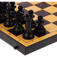 Шахматы/шашки Sima-Land Семейная 3091529