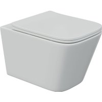 Унитаз подвесной Berges Wasserhaus Floe S Rimless + Visam Slim 525 EX-043244 (с сиденьем)