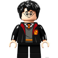 Конструктор LEGO Harry Potter 76389 Хогвартс: Тайная комната