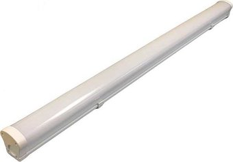 Линейный светильник ВЭТП Свет ДБП 05-40-002 4813280009627_x000D_