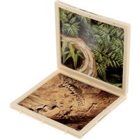 Набор для опытов Эврики Диномир. Тираннозавр. Строение тела динозавра 301 10179823