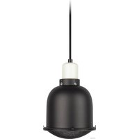 Светильник ЭРА FITO-E27-SHADE Б0053286 в Бресте