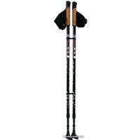 Палки для скандинавской ходьбы Gess Basic Walker GESS-919