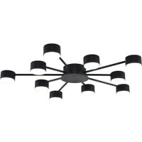 Припотолочная люстра Lumion Torina 8344/10C