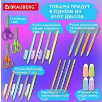 Набор школьника BRAUBERG Подарочный 880952 (63 предмета)