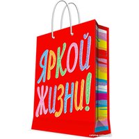 Пакет подарочный Феникс-Презент 87939 9.8x17.8x22.9 см