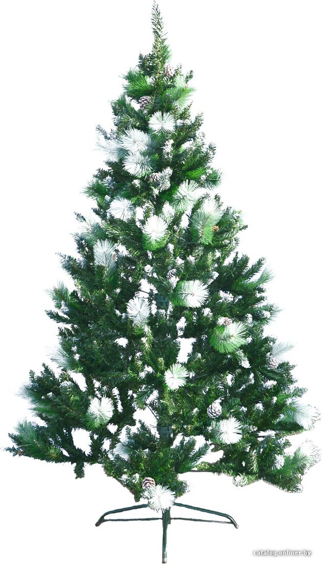 Сосна Merry Bear Саманта 1.8 м