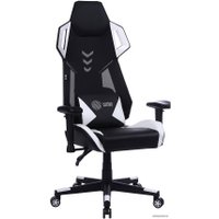 Игровое (геймерское) кресло CACTUS CS-CHR-090BLW (черный/белый)
