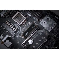 SSD Crucial P3 4TB CT4000P3SSD8