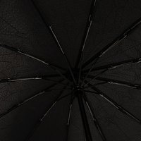 Зонт Rain Berry 734-31203.1 (черный)