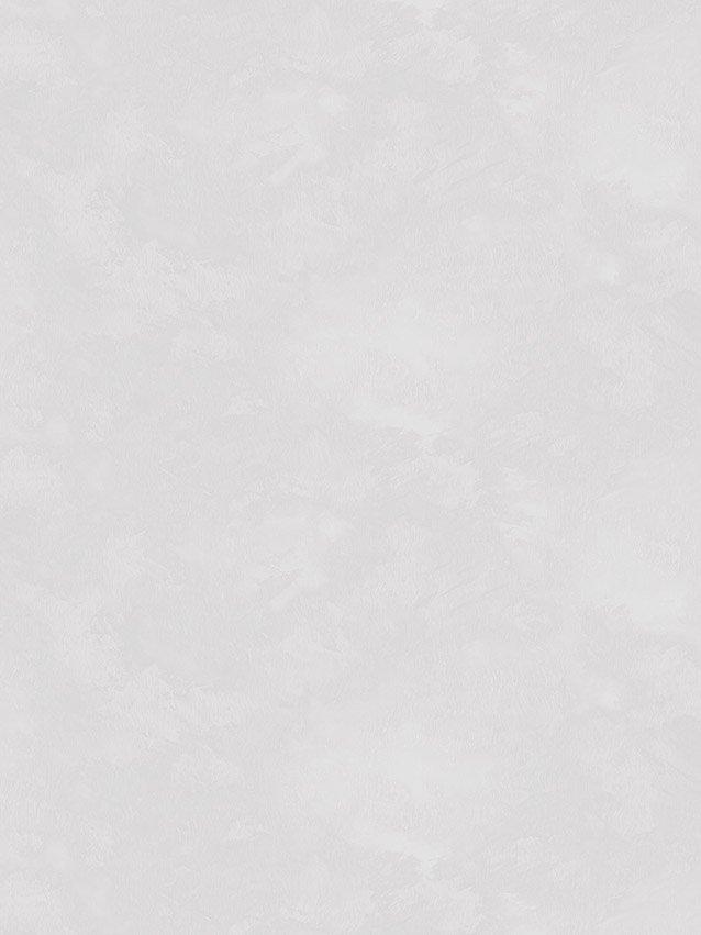 

Флизелиновые обои Аспект 70657-14