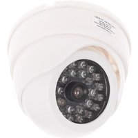 Муляж Orient AB-DM-25W