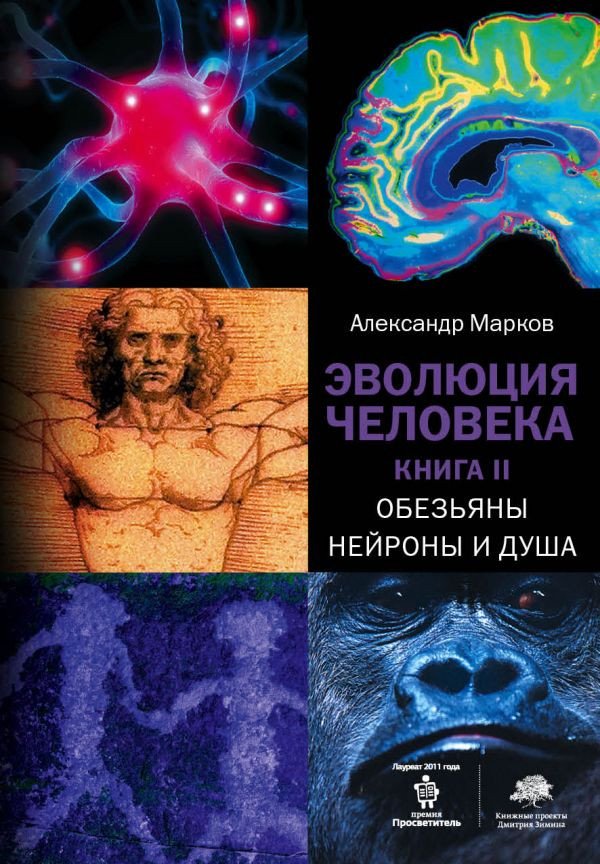 

Книга издательства АСТ. Эволюция человека. Обезьяны, нейроны и душа. Книга 2 (Марков А.)