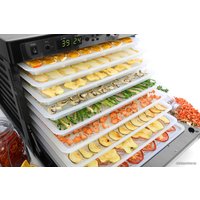 Сушилка для овощей и фруктов Tribest Sedona Combo Rawfood SD-P9150 (пластиковые лотки)