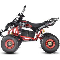 Квадроцикл White Siberia Sneg Pro R 3000W