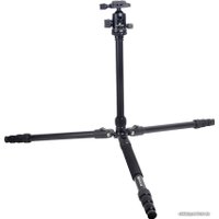Трипод Raylab Pro 70 (с головой)