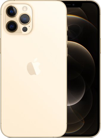 iPhone 12 Pro Max 256GB (золотой)