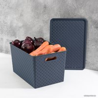 Коробка для хранения Violet Береста 523135 (космик)