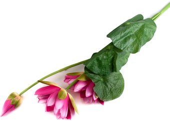 Искусственный цветок AksHome Лотос FL4002 78221