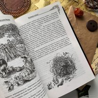 Книга издательства Эксмо. Хроники Нарнии (ил. П. Бейнс) (Клайв Стейплз Льюис)