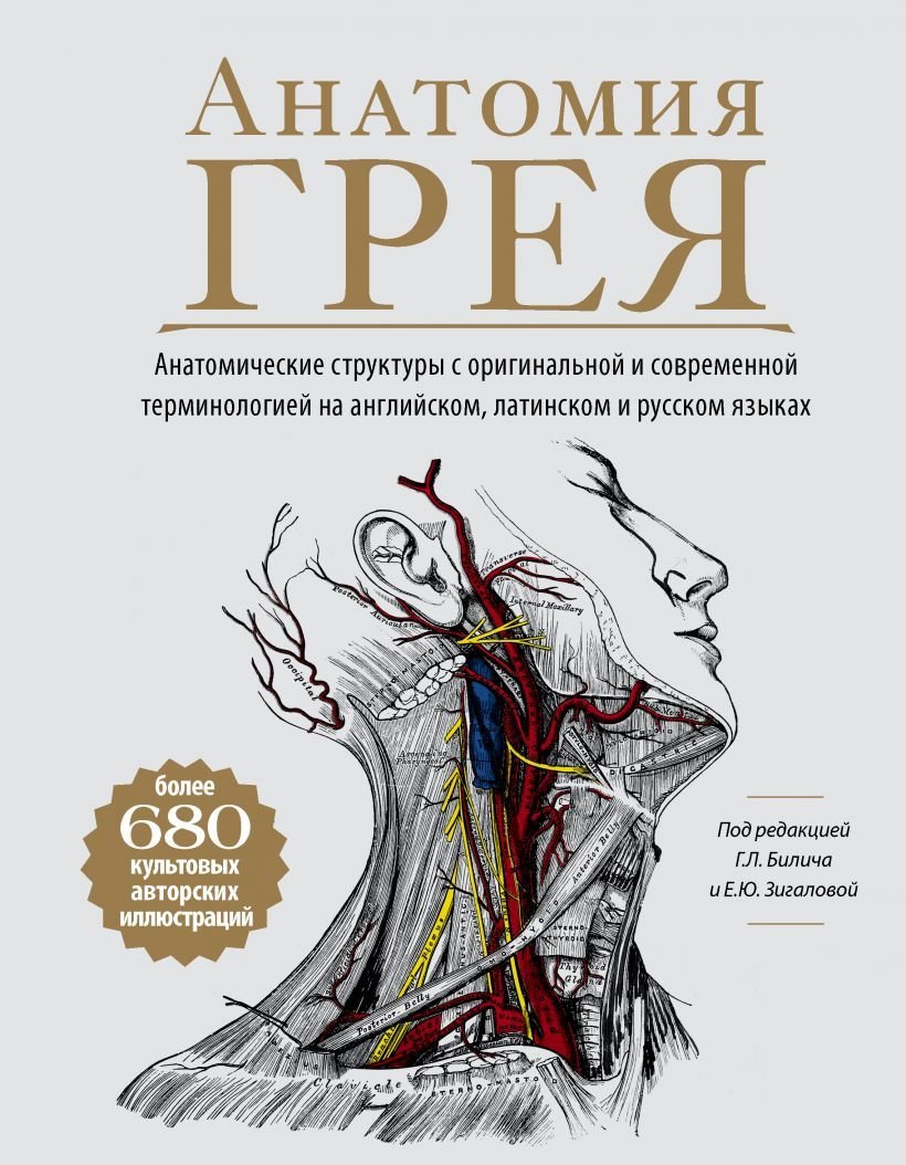 

Книга издательства Эксмо. Анатомия Грея. Анатомические структуры с оригинальной и современной терминологией на английском, латинском и русском языках