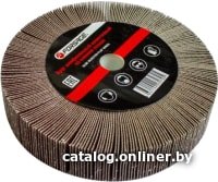 

Шлифовальный круг FORSAGE F-FD2100F