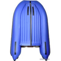 Моторная лодка Reef 300НД