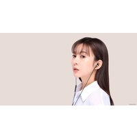 Наушники Xiaomi Dual Driver Earphones (черный)