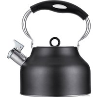 Чайник со свистком Regent Inox 93-TEA-49