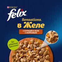 Пресервы Felix Sensations в желе с курицей и морковью 75 г